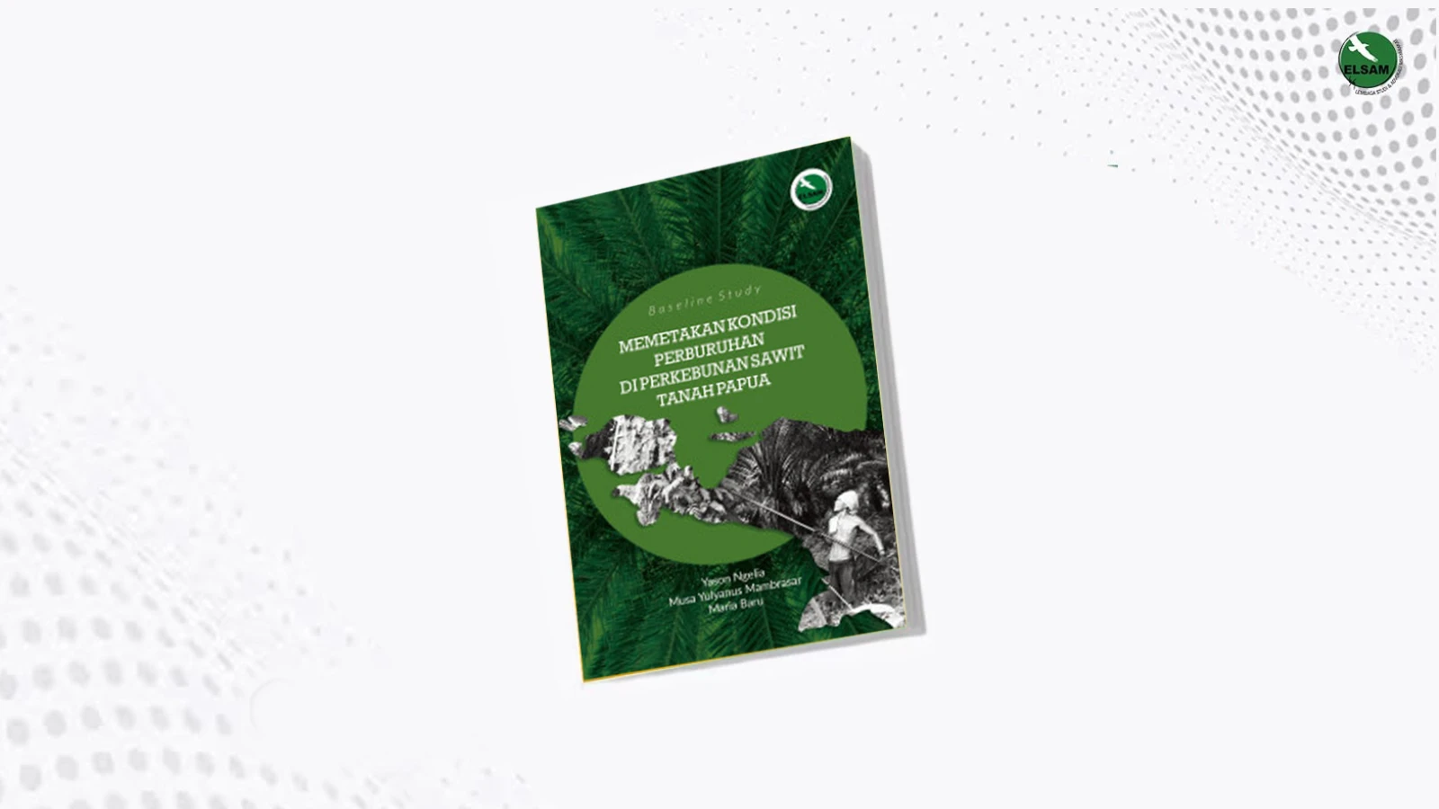 Baseline Study : Memetakan Kondisi Perburuhan Di Perkebunana Sawit Tanah Papua