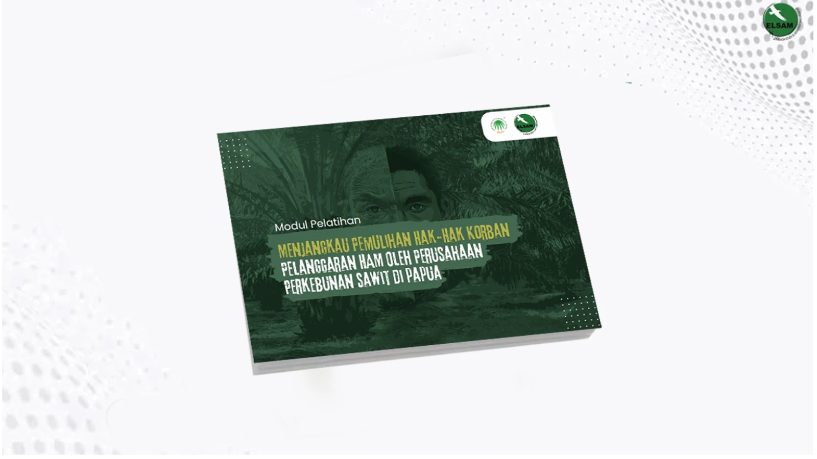 Menjangkau Pemulihan Hak-Hak Korban Pemanggaran HAM oleh Perusahaan Perkebunan Sawit di Papua
