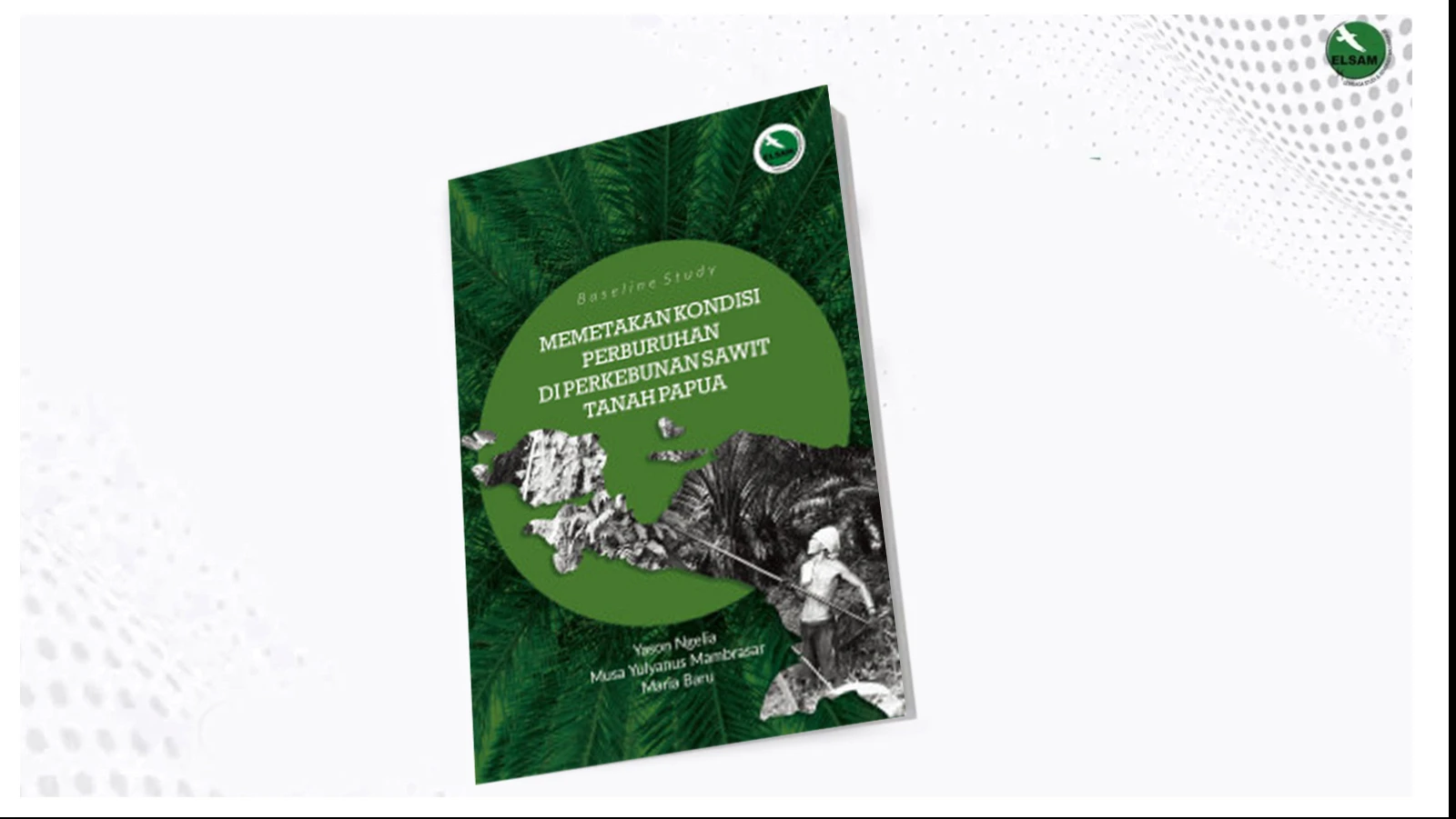 Baseline Study: Memetakan Kondisi Perburuhan di Perkebunan Sawit Tanah Papua