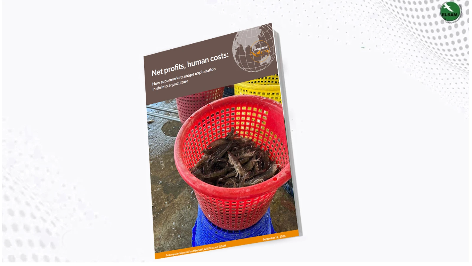 Net Profits, Human Cost: How Supermarkets Shape Exploitation in Shrimp Aquaculture