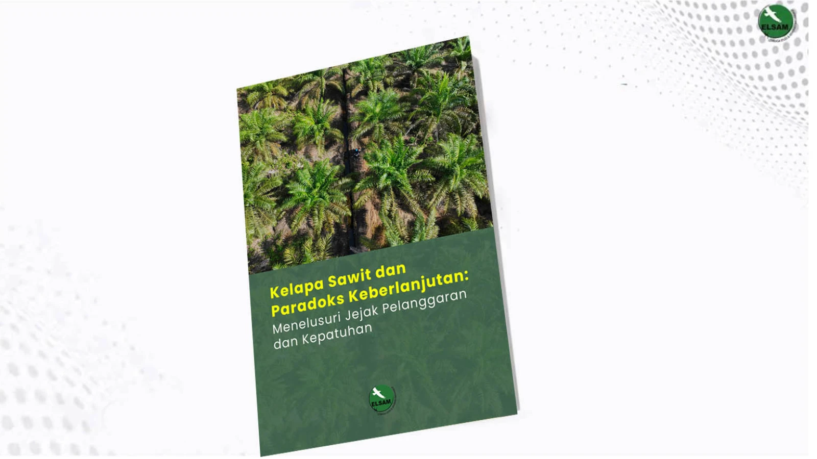 Kelapa Sawit dan Paradoks Keberlanjutan: Menelusuri Jejak Pelanggaran dan Kepatuhan