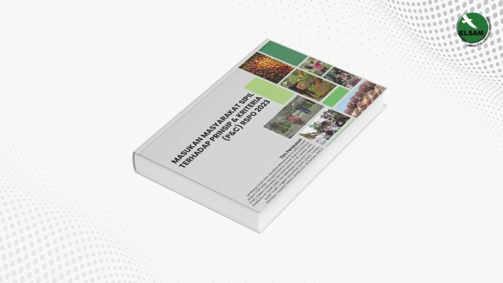 Masukan Masyarakat Sipil terhadap P&C RSPO 2023