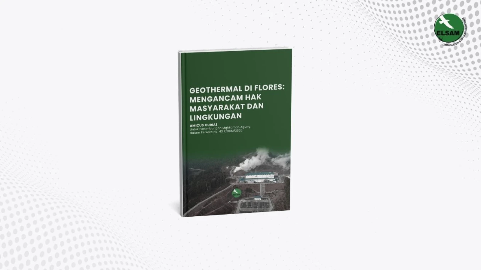 Geothermal di Flores: Mengancam Hak Masyarakat dan Lingkungan