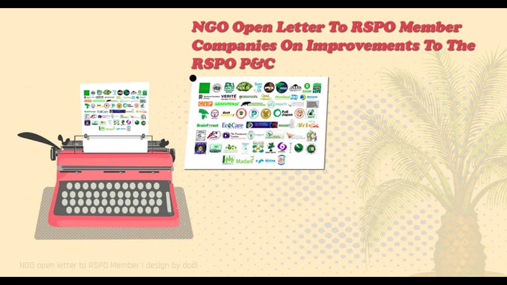 NGO Open Letter to RSPO Member Companies on Improvements to the RSPO P&C
