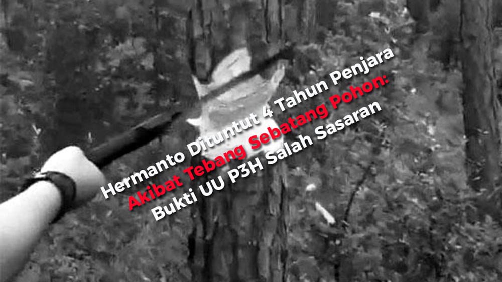 Hermanto Dituntut 4 Tahun Penjara Akibat Tebang Sebatang Pohon:&nbsp;Bukti UU P3H Salah Sasaran