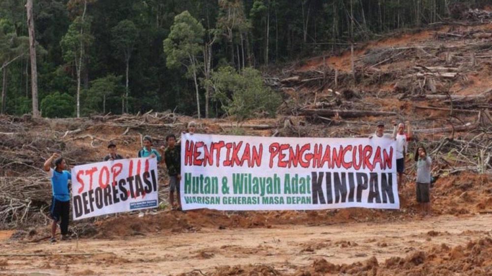 Land Clearing di Desa Kinipan Ancam Kehidupan Masyarakat Adat