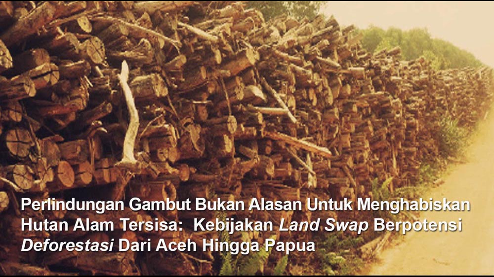 Perlindungan Gambut Bukan Alasan Untuk Menghabiskan Hutan Alam Tersisa:  Kebijakan Land Swap Berpotensi Deforestasi Dari Aceh Hingga Papua