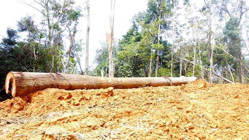 Pemerintah Indonesia harus bertindak atas pelanggran hak asasi manusia di Long Isun, Mahakam Hulu, Indonesia