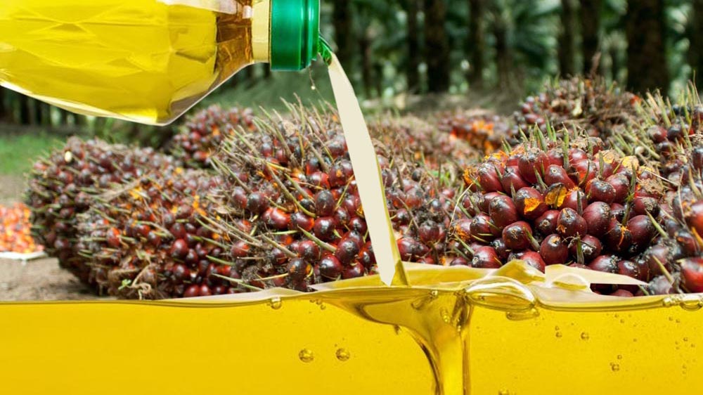 Polemik Minyak Goreng: Segera Evaluasi Menyeluruh Industri Sawit dari Hulu hingga Hilir