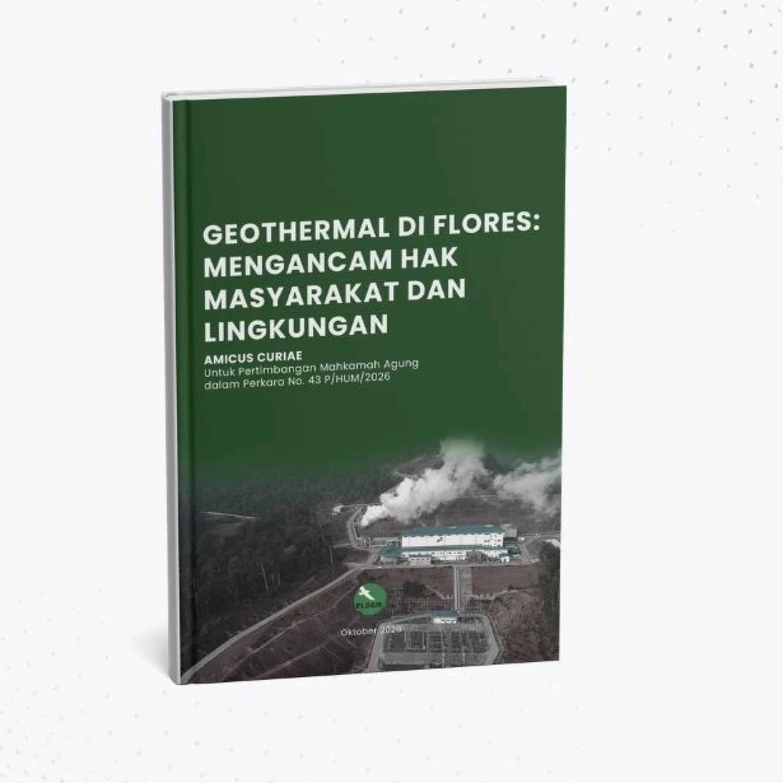 Geothermal di Flores: Mengancam Hak Masyarakat dan Lingkungan