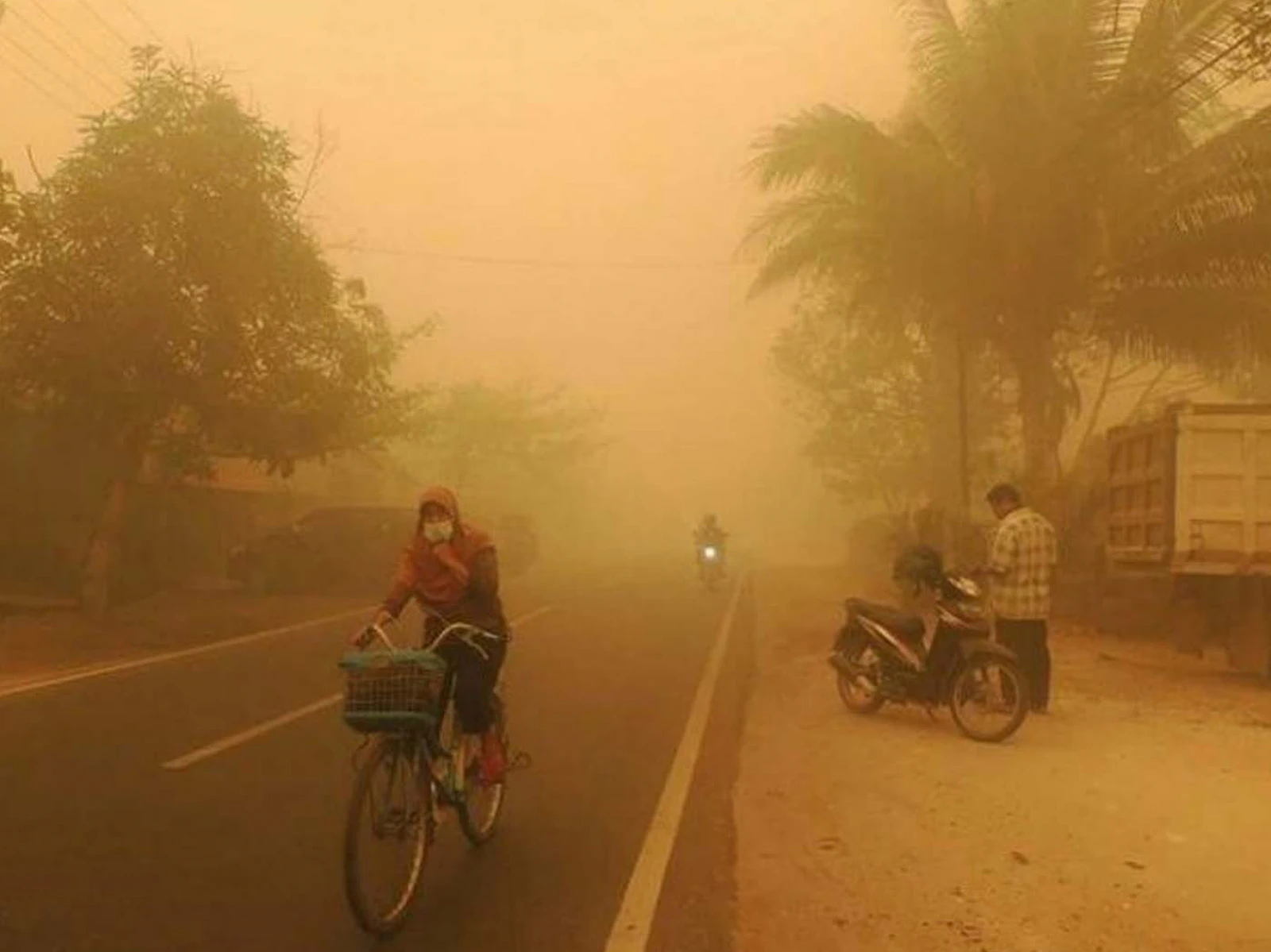 Koalisi Masyarakat Sipil Desak Komnas HAM Kawal Penuntasan Kasus Kabut Asap