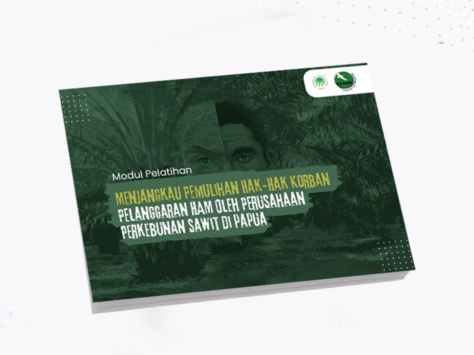 Menjangkau Pemulihan Hak-Hak Korban Pemanggaran HAM oleh Perusahaan Perkebunan Sawit di Papua