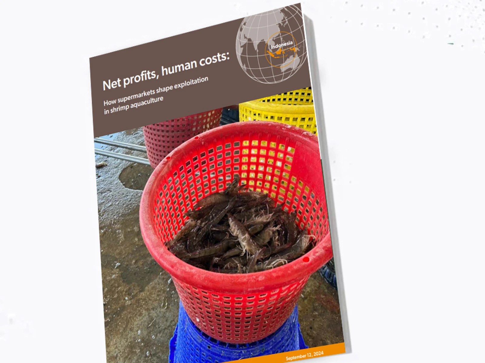 Net Profits, Human Cost: How Supermarkets Shape Exploitation in Shrimp Aquaculture