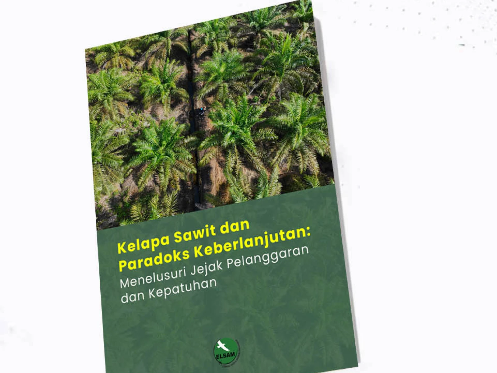 Kelapa Sawit dan Paradoks Keberlanjutan: Menelusuri Jejak Pelanggaran dan Kepatuhan