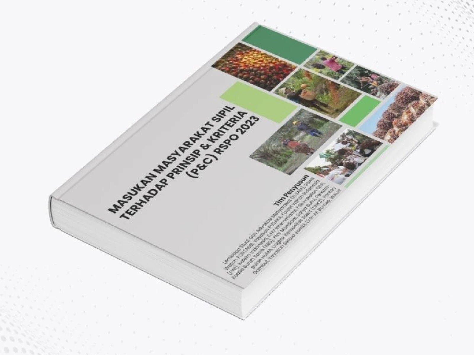 Masukan Masyarakat Sipil terhadap P&C RSPO 2023